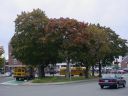 DSC02413.JPG