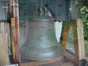 DSC02550.JPG